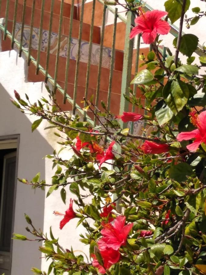 Casale Hibiscus Villa Santa Maria Del Focallo Exteriör bild